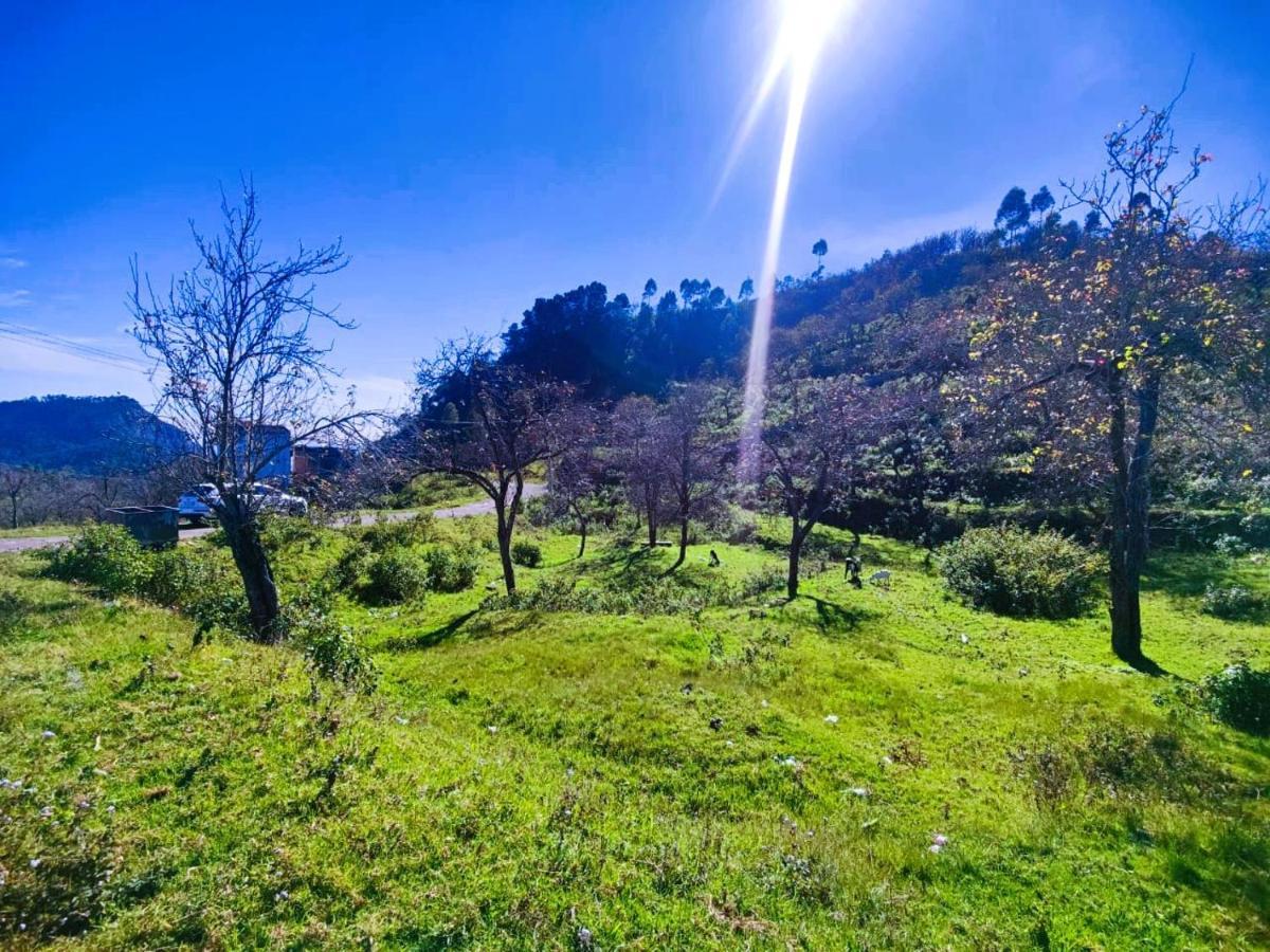 Salora Kodai Kodaikanal Exterior foto